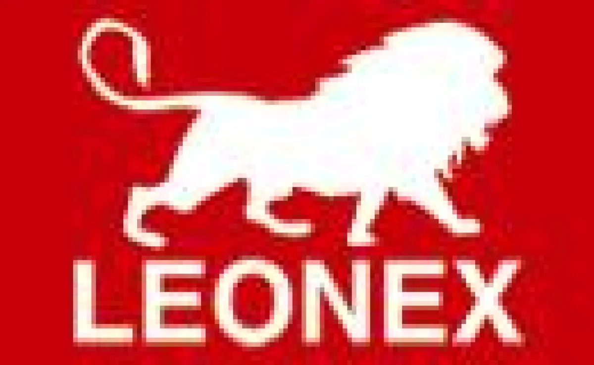 LEONEX Internet GmbH