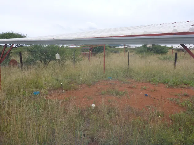 Bild: Verheerende Auswirkungen – wie extreme und langanhaltende Dürre Gras- und Buschlandschaften weltweit verändert