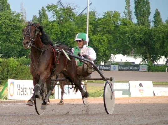 Bild: JAXX: Wieder Hauptsponsor des JAXX Deutsches Traber Derby 2005