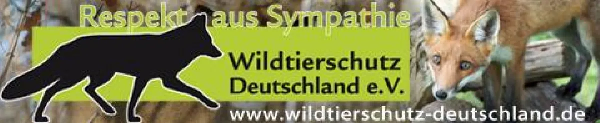 Aus JagdAberFair wurde Wildtierschutz Deutschland e.V.