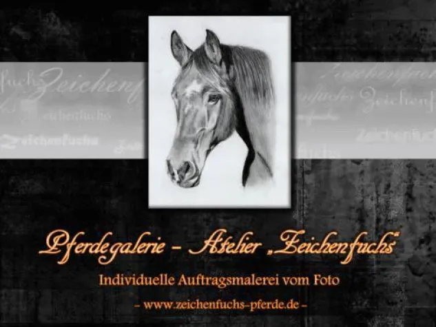 Bild: Präsentation einer neuen Galerie für Pferdeportraits