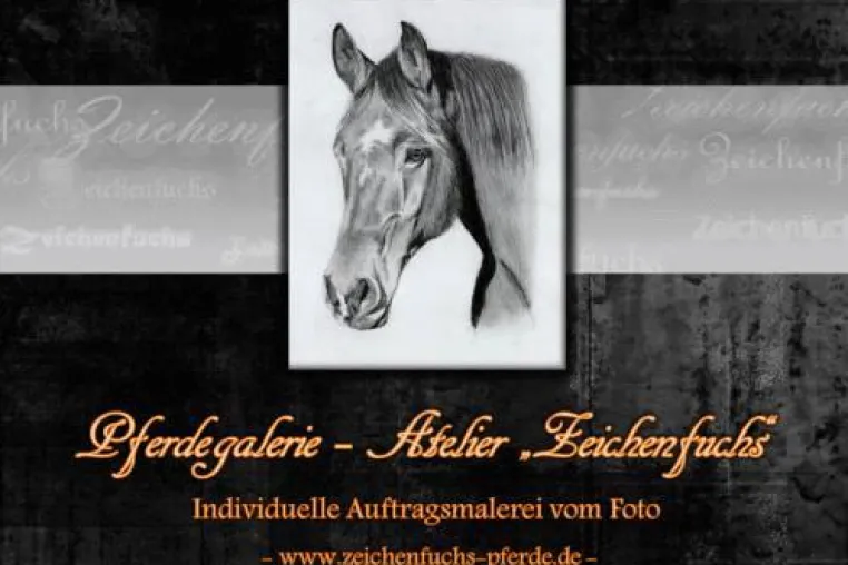 Präsentation einer neuen Galerie für Pferdeportraits Bild: Präsentation einer neuen Galerie für Pferdeportraits