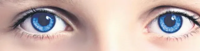 Regionale Werbung im Internet lohnt sich Bild: Regionale Werbung im Internet lohnt sich