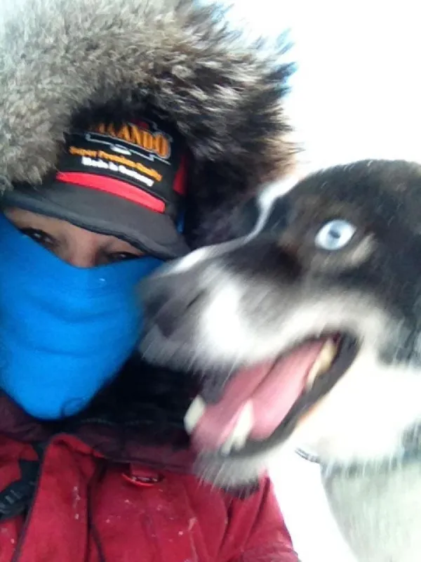 Silvia Furtwängler (Köln) fliegt mit 16 Huskies zum Iditarod-Schlittenhunderennen nach Alaska