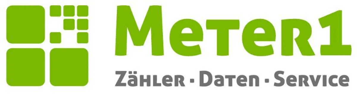 Logo Meter1