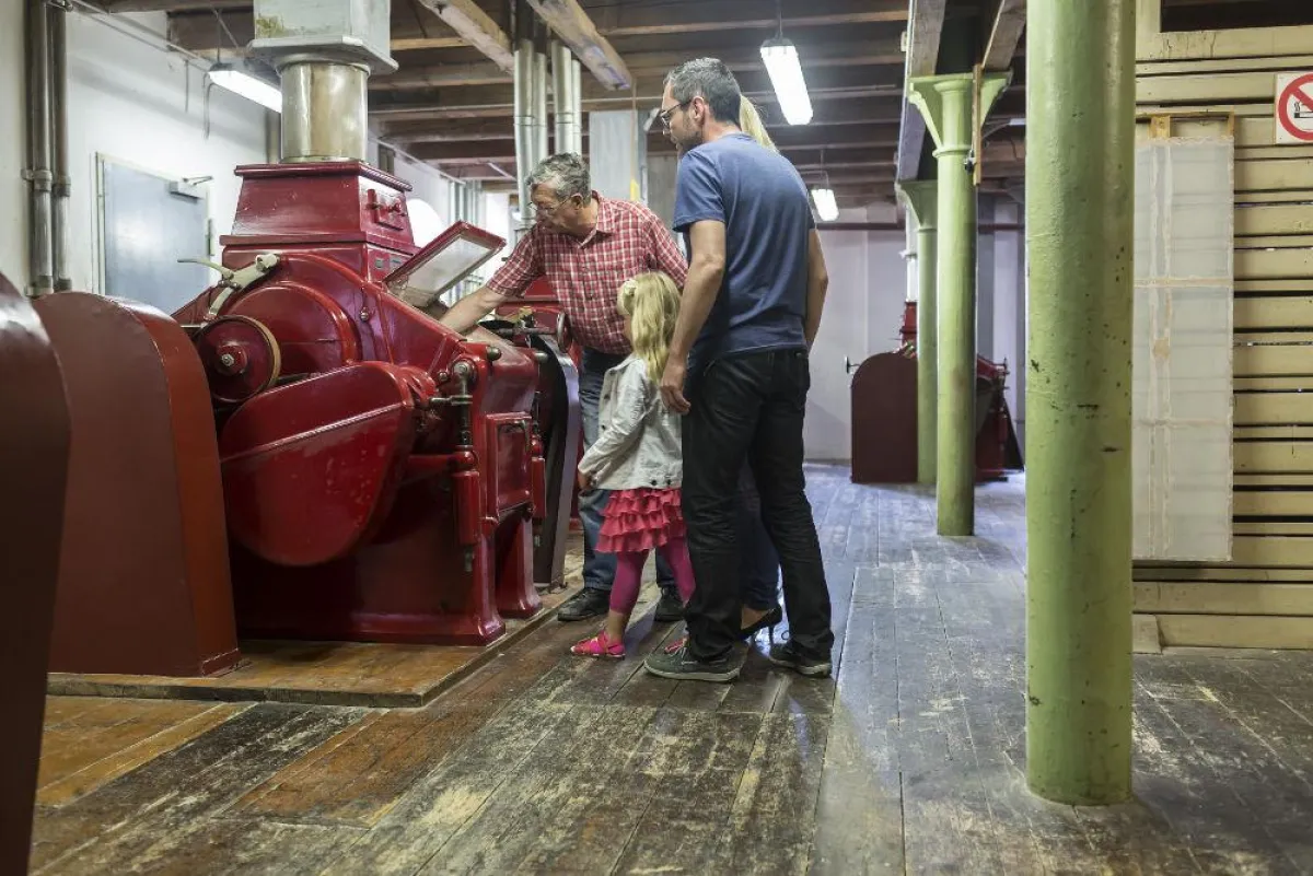 Besucher in der Zeddenbacher Mühle. Foto: Roy Dietrich