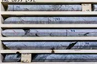 Bild: Explosive Mischung: Mawson Resources weist neben Gold auch Kobalt nach!