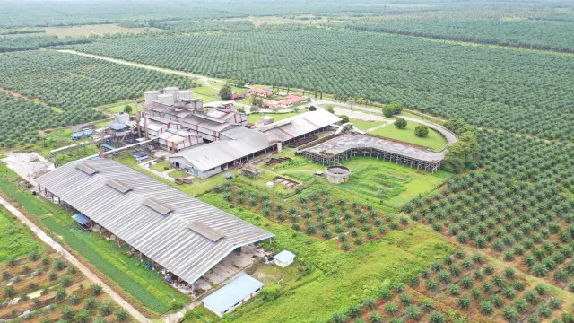 Bild: Designer-Enzyme statt Palmöl: Frankfurter Forschende programmieren Hefezellen um