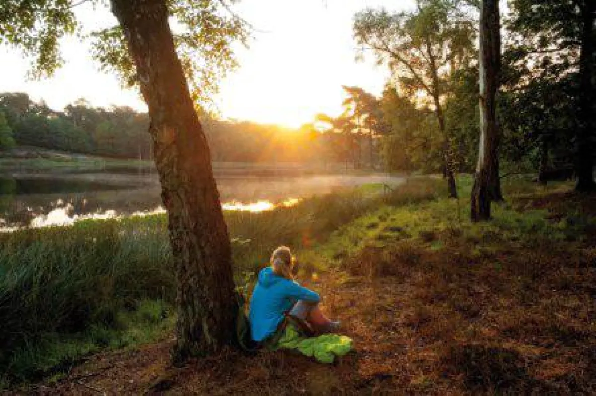 Andrea Rayers, Reporterin des Magazins Auszeit, beim Waldbaden in der Leucht ? einem Waldgebiet des