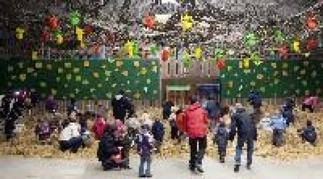 Bild: Pellwormer Osterwiese: Eiersucher stürmen Nordsee-Insel