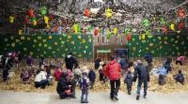 Bild: Pellwormer Osterwiese: Eiersucher stürmen Nordsee-Insel