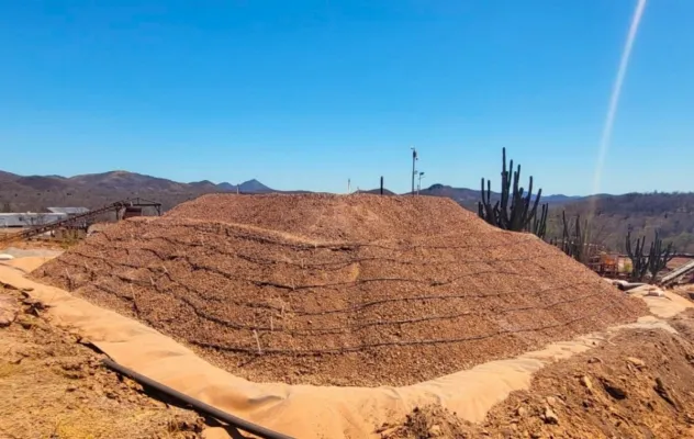 Bild: Starke Zahlen: Tocvan meldet steigende Gold- und Silbergehalte der Pilar-Großprobe