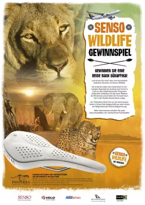 Bild: Senso Wildlife macht mit Südafrika-Reise auf Tierschutz aufmerksam