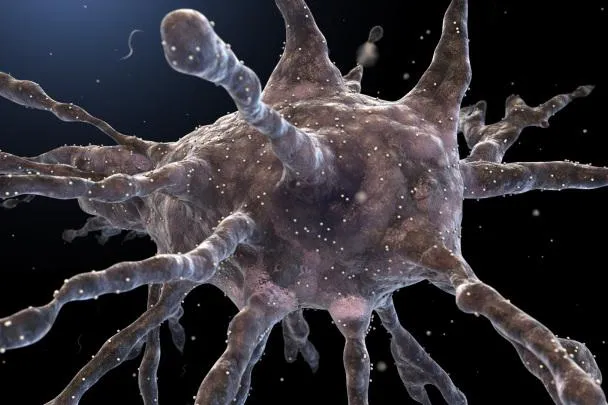 Bild: Biologische Krebstherapie mit Standardtherapie im Kampf gegen den Krebs
