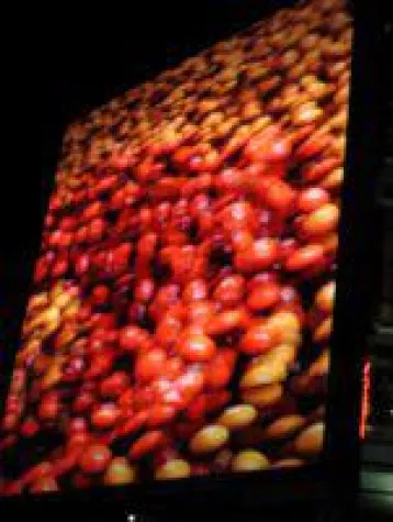 Bild: "Piccox" beendet das öffentliche Angebot seiner Inhaberschuldverschreibung