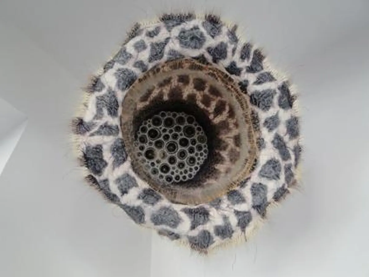 Alexandra Hendrikoff, Blütenteleskop I (Schwebeobjekt, Transparentpapier, Strohseide, Löwenzahnsamen, Gaze, Garn, 2010)