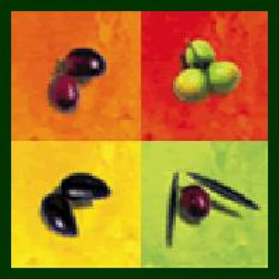 ASOLIVA - Verband spanischer Olivenöl Produzenten und Exporteure