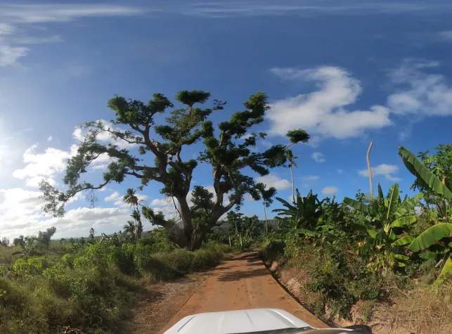 DFKI und m3 management consulting intensivieren Kooperation für KI-getriebene Digitalisierung in der Industrie Bild: DFKI und m3 management consulting intensivieren Kooperation für KI-getriebene Digitalisierung in der Industrie