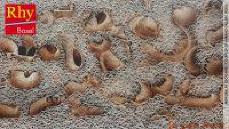 Bild: Aktuelle Koreanische Kunst auf der Rhy Art Fair Basel