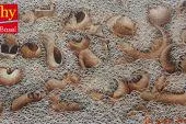 Aktuelle Koreanische Kunst auf der Rhy Art Fair Basel Bild: Aktuelle Koreanische Kunst auf der Rhy Art Fair Basel