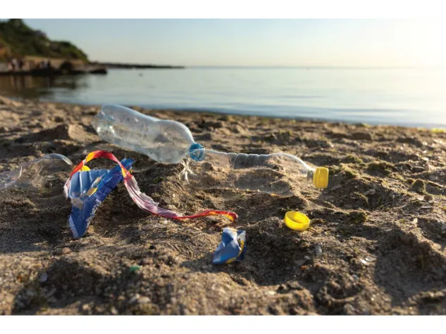 Bild: Durch die Verwendung einer Menstruationstasse schützen Sie die Umwelt