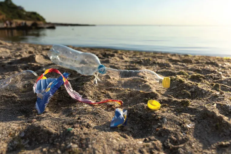 Bild: Durch die Verwendung einer Menstruationstasse schützen Sie die Umwelt