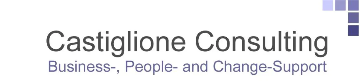 Castiglione Consulting