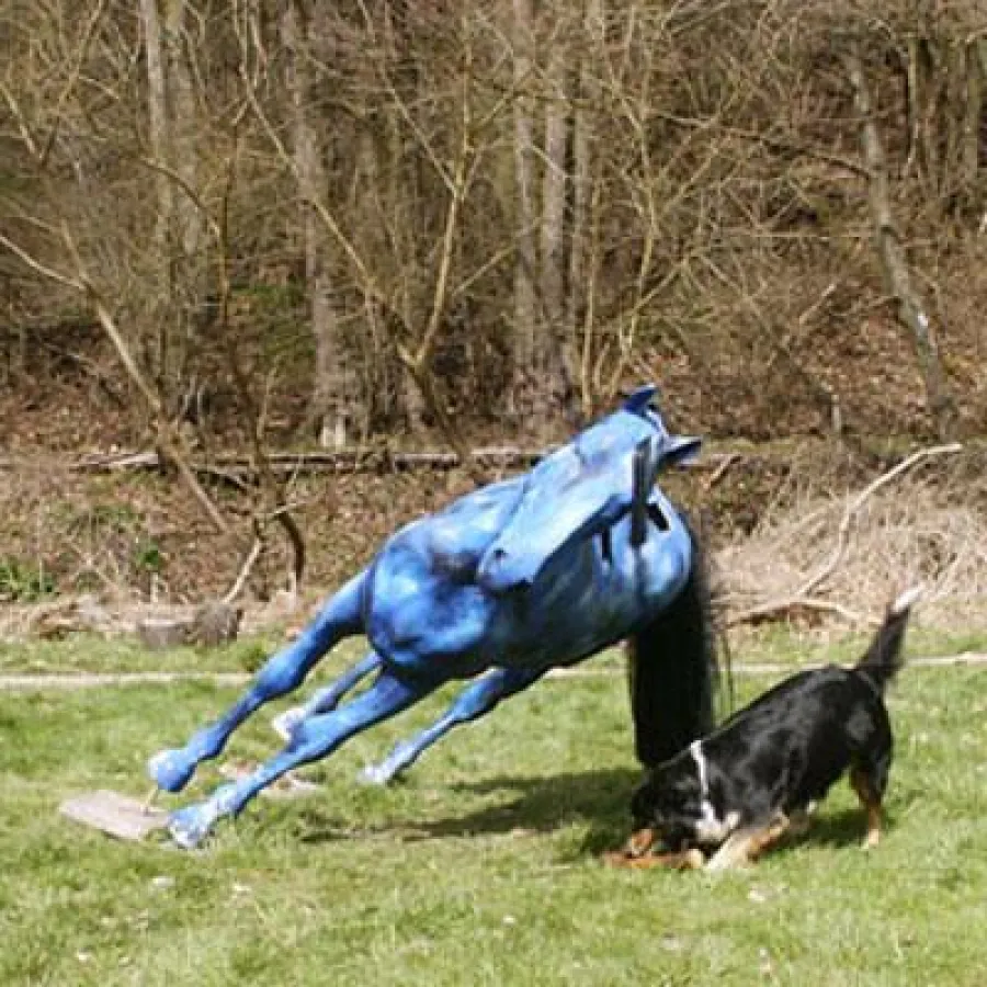 Der Blauschimmel in Schräglage