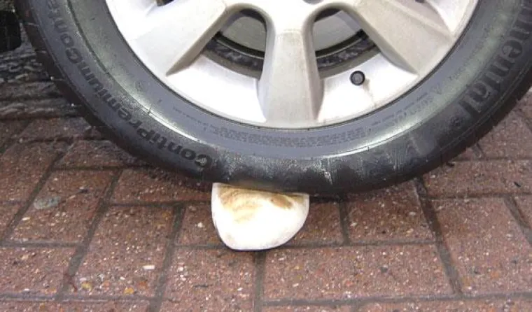 Bild: Holzschuhe bei Jugend forscht 2010