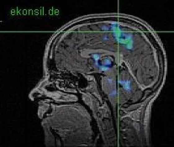 Bild: Aktuelle Nachrichten aus der Gesundheitsbranche und Fachkataloge (ICD-10 Diagnosen)