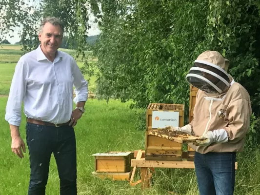 Bild: Ingenieur-Unternehmen consinion investiert in Bienen und Umweltschutz