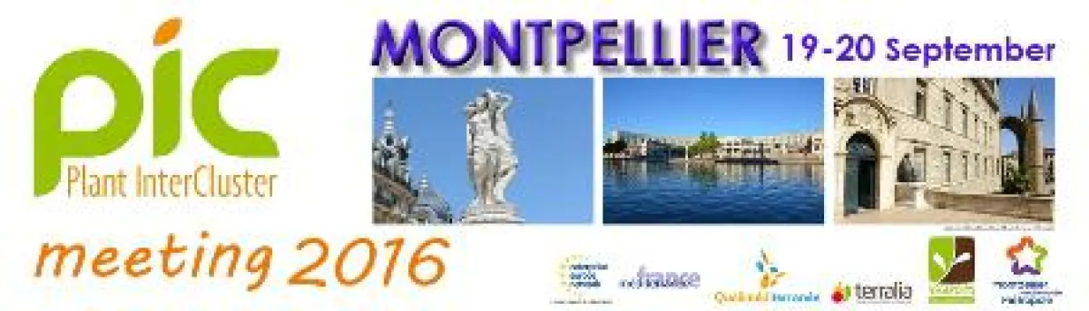Im September findet in Montpellier das Plant InterCluster Meeting für die Pflanzenbranche statt