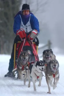 Bild: Oberharz Schlittenhunde-Adventure in Clausthal-Zellerfeld am 04./05. Februar 2012