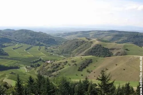 Neues Wandererlebnis am Kaiserstuhl Bild: Neues Wandererlebnis am Kaiserstuhl