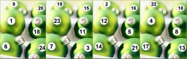 Bild: ACT.24 - Adventskalender für Unernehmer und Manager