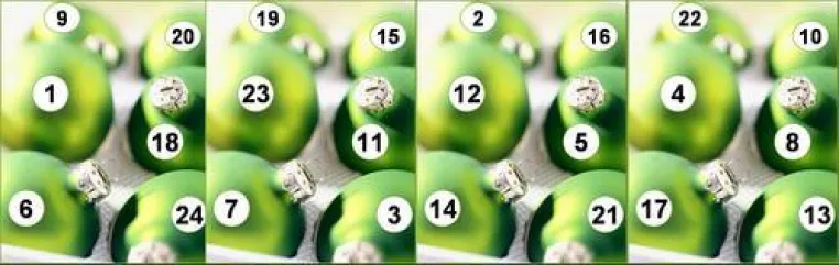ACT.24 - Adventskalender für Unernehmer und Manager Bild: ACT.24 - Adventskalender für Unernehmer und Manager