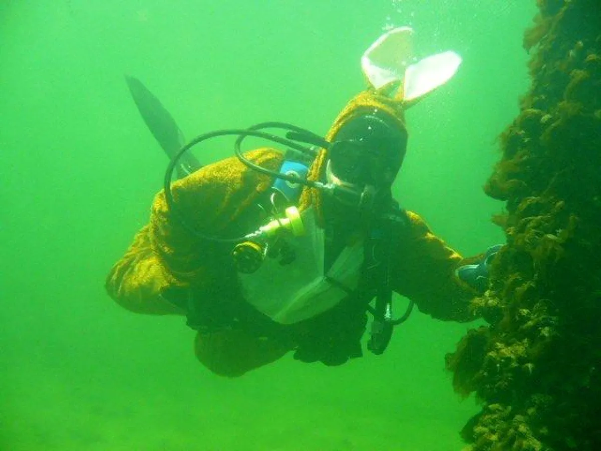 Ostertauchen in der Yachthafenresidenz Hohe Düne
