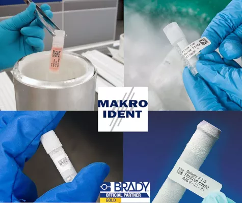 Bild: Präzise Kennzeichnung mit Kryo Laboretiketten von MAKRO IDENT