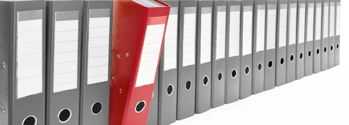 MWS-Buchhaltungsservice, Digitale Betriebsprüfung