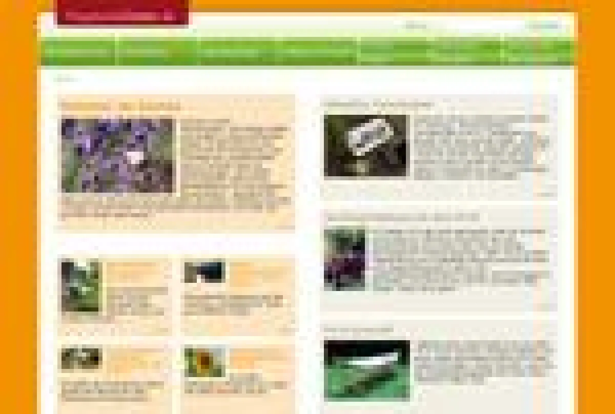 Sommerlicher Auftritt von HauptsacheGarten.de ist online.