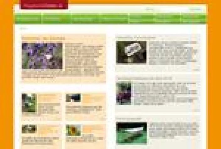 Bild: HauptsacheGarten.de gibt Tipps für den perfekten Sommer