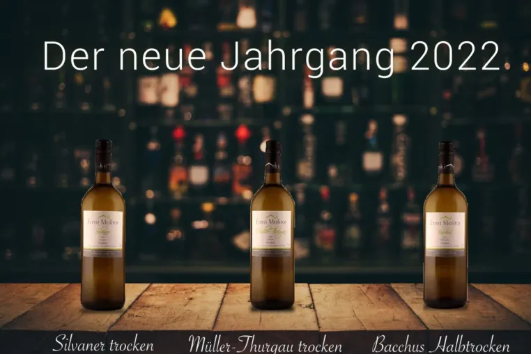 Bild: Der Jahrgang 2022 aus dem Weingut Ernst Molitor ist erhältlich