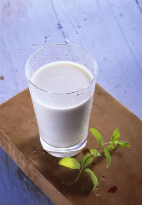 Bild: Der Expertentipp im Mai: H-Milch oder Frischmilch - was enthält mehr Nährstoffe?