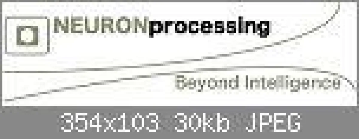 Logo NEURONprocessing