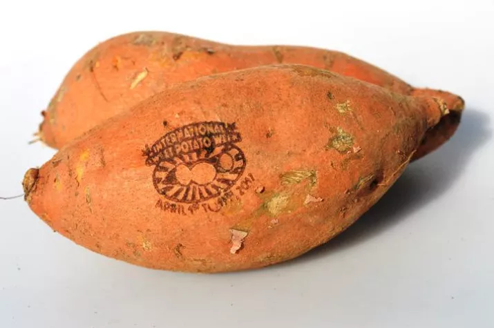 Bild: Vielfalt „made in America“: Nature & More feiert die Bio-Süßkartoffel