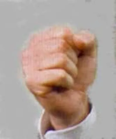 Angst vor den Muslims Bild: Angst vor den Muslims