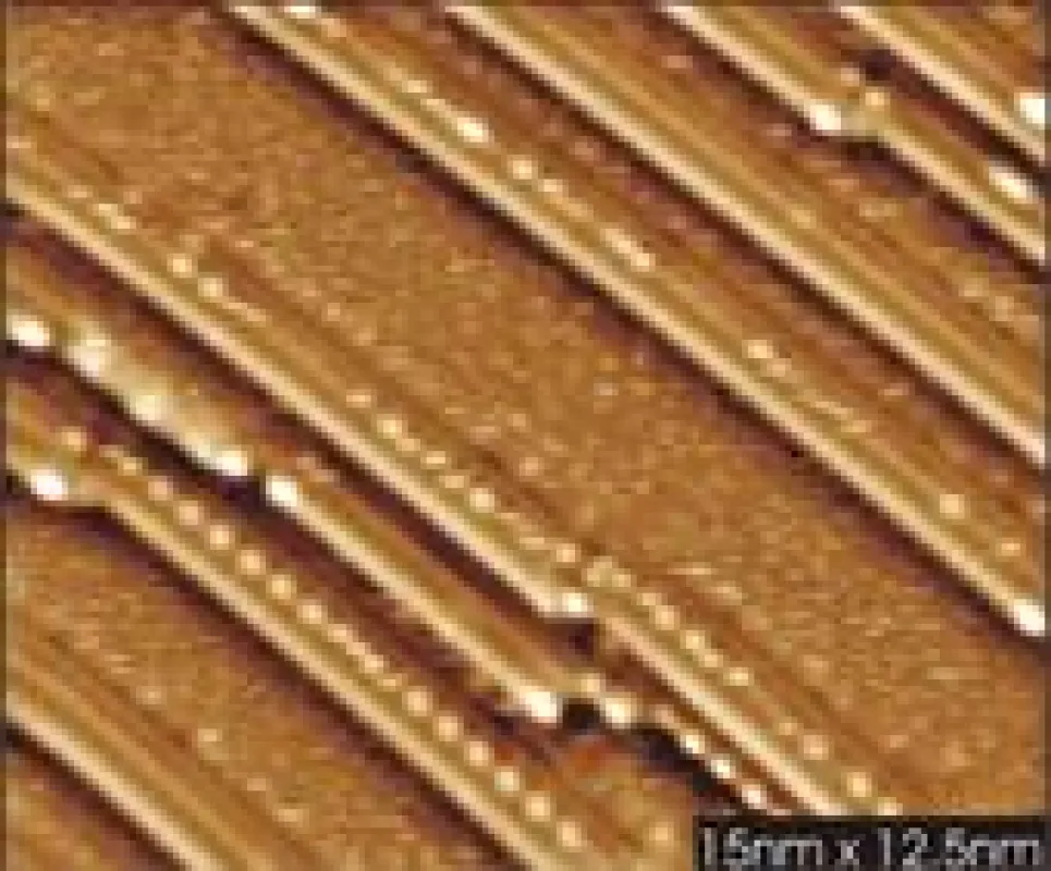 Rastertunnelmikroskopie-Aufnahme von oxidierten Ni-Rh-Nanodrähten