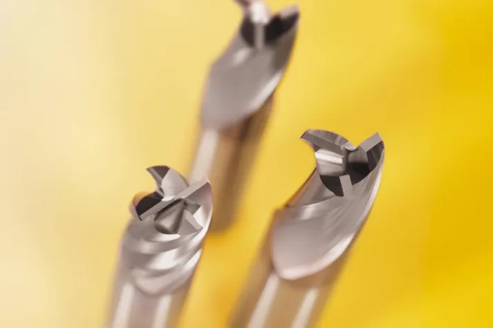 Bild: Allrounder, die überzeugen