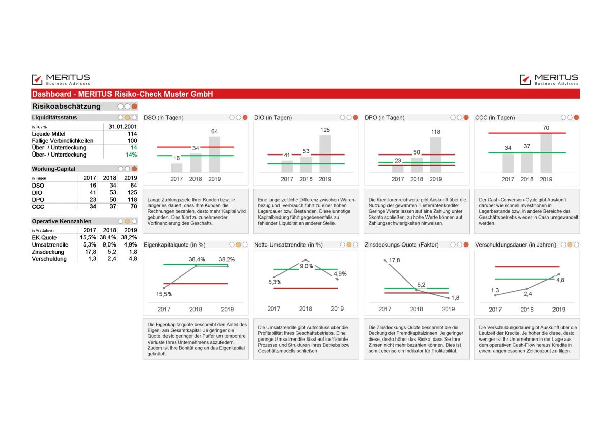 MERITUS-Frühwarn-Quick-Check (© MERITUS Business Advisors GmbH)