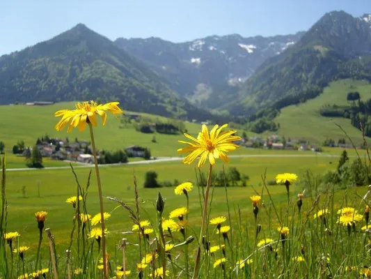 Bild: Herbstsaison in den Alpen: Wanderer sehen die Berge von ihrer farbenprächtigsten Seite